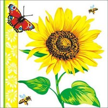 Подсолнух и бабочка