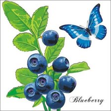 Схема вышивки «Голубика»