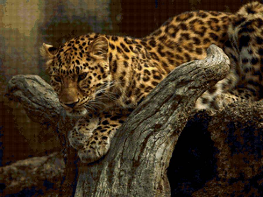 №104902 - животные - предпросмотр