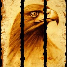 Схема вышивки «Триплекс. Орел»