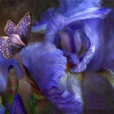 Схема вышивки «ирис»