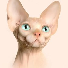 Схема вышивки «кошка сфинкс»