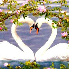 Схема вышивки «лебеди»