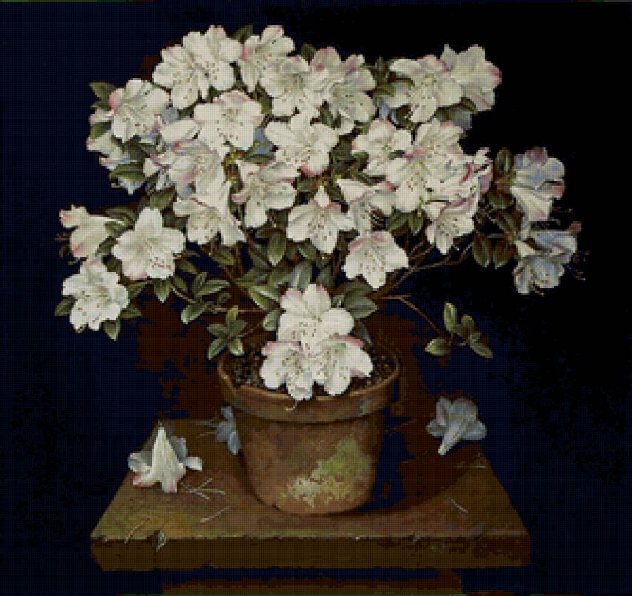 Серия "Букет" - азалии, цветы, букет - предпросмотр