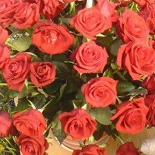 Схема вышивки «розы»