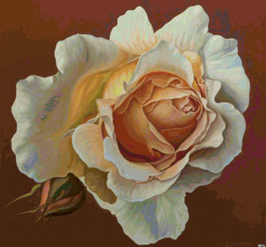 Серия "Букет" - цветы, роза - предпросмотр