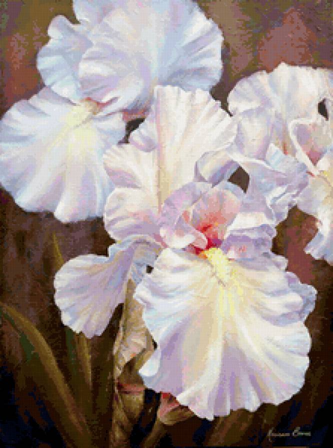 Серия "Букет" - ирисы, цветы, букет - предпросмотр