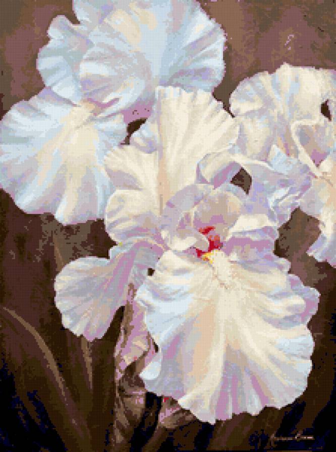 Серия "Букет" - ирисы, букет, цветы - предпросмотр