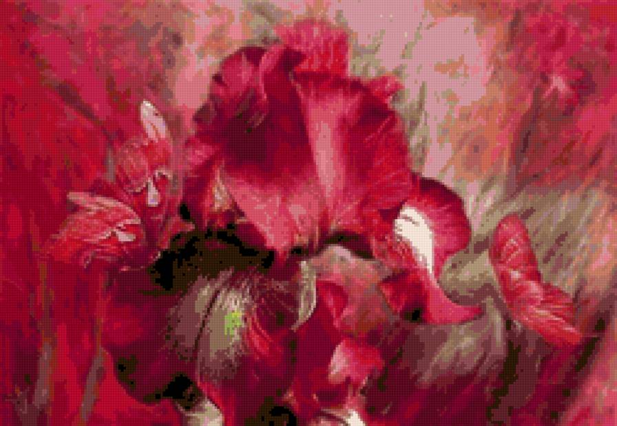 ирис - букет, цветы - предпросмотр