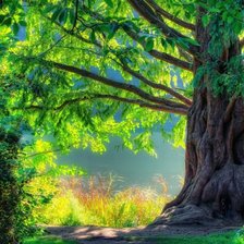 Схема вышивки «№105341»