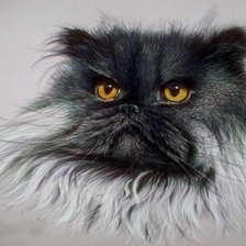 Схема вышивки «Перс»