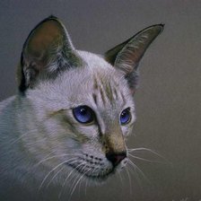 Схема вышивки «Кошка»