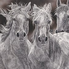 Схема вышивки «лошади»