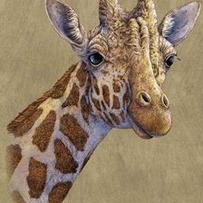 Схема вышивки «жираф»