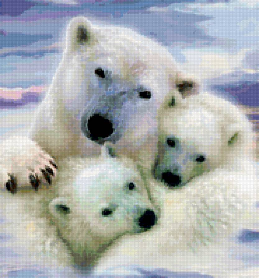 Мишки - животные, картины, медведи - предпросмотр