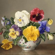 Схема вышивки «Анютины глазки»