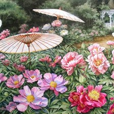 цветы и зонтики