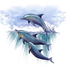 Схема вышивки «Дельфины»