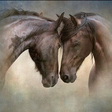 Схема вышивки «пара»