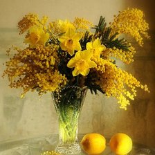 Солнечное настроение