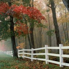 Схема вышивки «Осенний пейзаж»