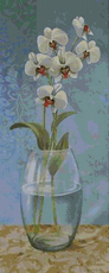 орхидея - цветы, орхидея - предпросмотр