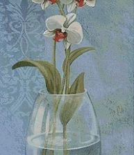 Схема вышивки «орхидея»