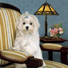 Схема вышивки «Собаки»