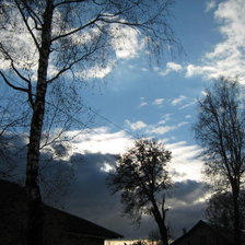 Схема вышивки «Силуэты»