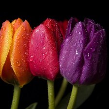 Схема вышивки «№105916»