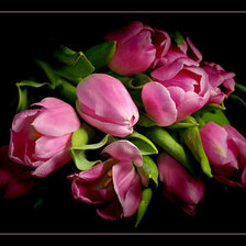 Схема вышивки «Тюльпаны»