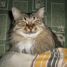 Схема вышивки «Морда лица»