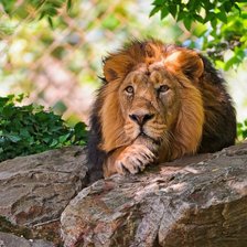 Схема вышивки «№105955»