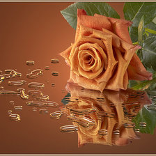 Схема вышивки «роза»