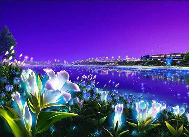 лилии - ночь, берег, лилии - оригинал