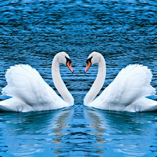 Схема вышивки «Лебеди»