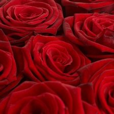 Схема вышивки «Розы»