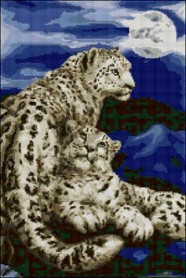 №106337 - барсы, хищники, животное - предпросмотр