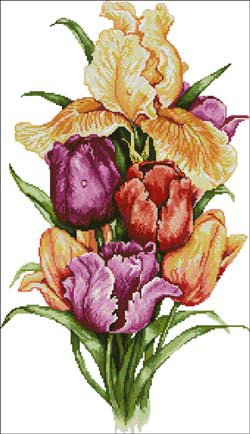 цветы из сада - тюльпаны.ирисы, букет, цветы - оригинал