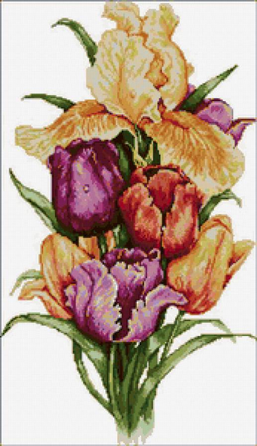 цветы из сада - букет, цветы, тюльпаны.ирисы - предпросмотр