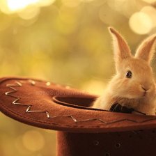 Схема вышивки «Зайка в шляпе»