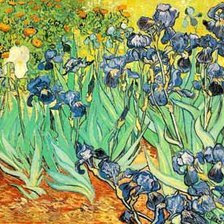 Схема вышивки «ирисы»