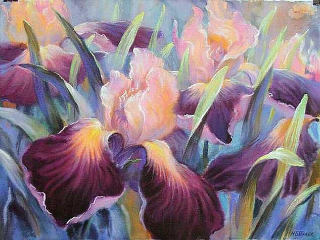ирис - букет, цветы - оригинал