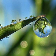Схема вышивки «капля росы»