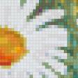 Предпросмотр схемы вышивки «Триптих Яркие Цветы» (№106531)