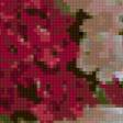 Предпросмотр схемы вышивки «Серия "Букет"» (№106674)