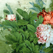 Схема вышивки «пионы»