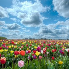 Схема вышивки «№106732»