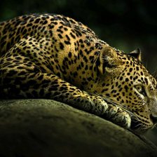 Схема вышивки «№106752»