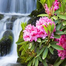 Схема вышивки «№106761»